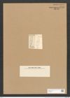 Stauroneis mesapachya Ehr. (de-Toni-Nr.: Genus 6, Species 876) Zeichnungen Sammlung Grunow Nr. 1736 (NHMW-BOT-W0368617)